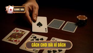 cách chơi bài xì dách